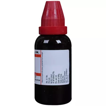 Dr Willmar Schwabe India Carica papaya Mother Tincture 1X (Q) (30ml) for urinary disorders indigestion