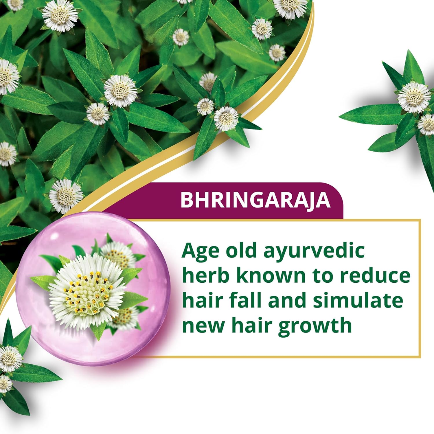 Himalaya Anti-Hair Fall Bhringaraja Shampoo 1 Litre | with Bhringaraja & Natural Proteins | Up to 96% Less Hair Fall | Dermatologically Tested | Paraben Free | For Women & Men