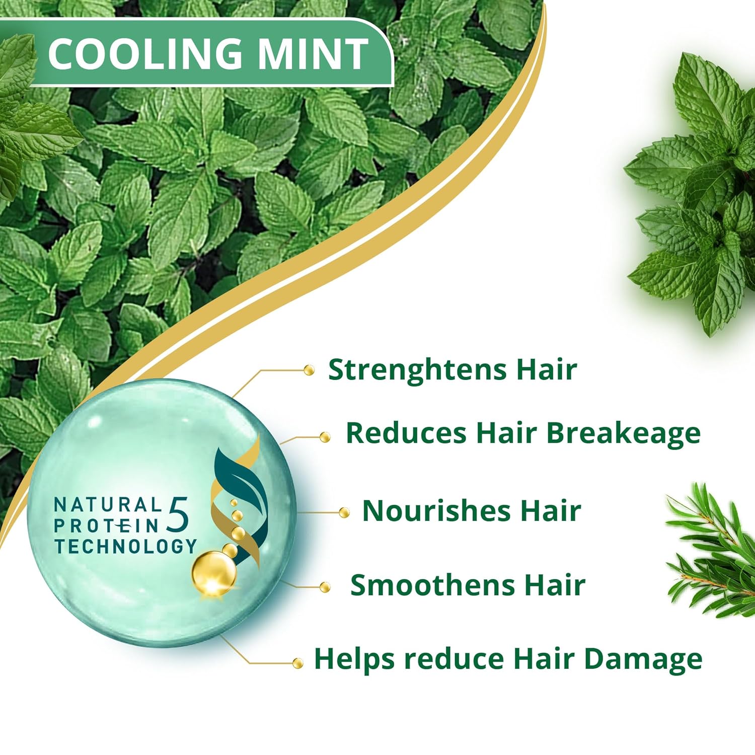 Himalaya Anti-Dandruff Cooling Mint Shampoo | Fights Dandruff | Soothes Scalp & Revives Hair | Enriched with Tea Tree Oil & Mint | For Women & Men | 200ml