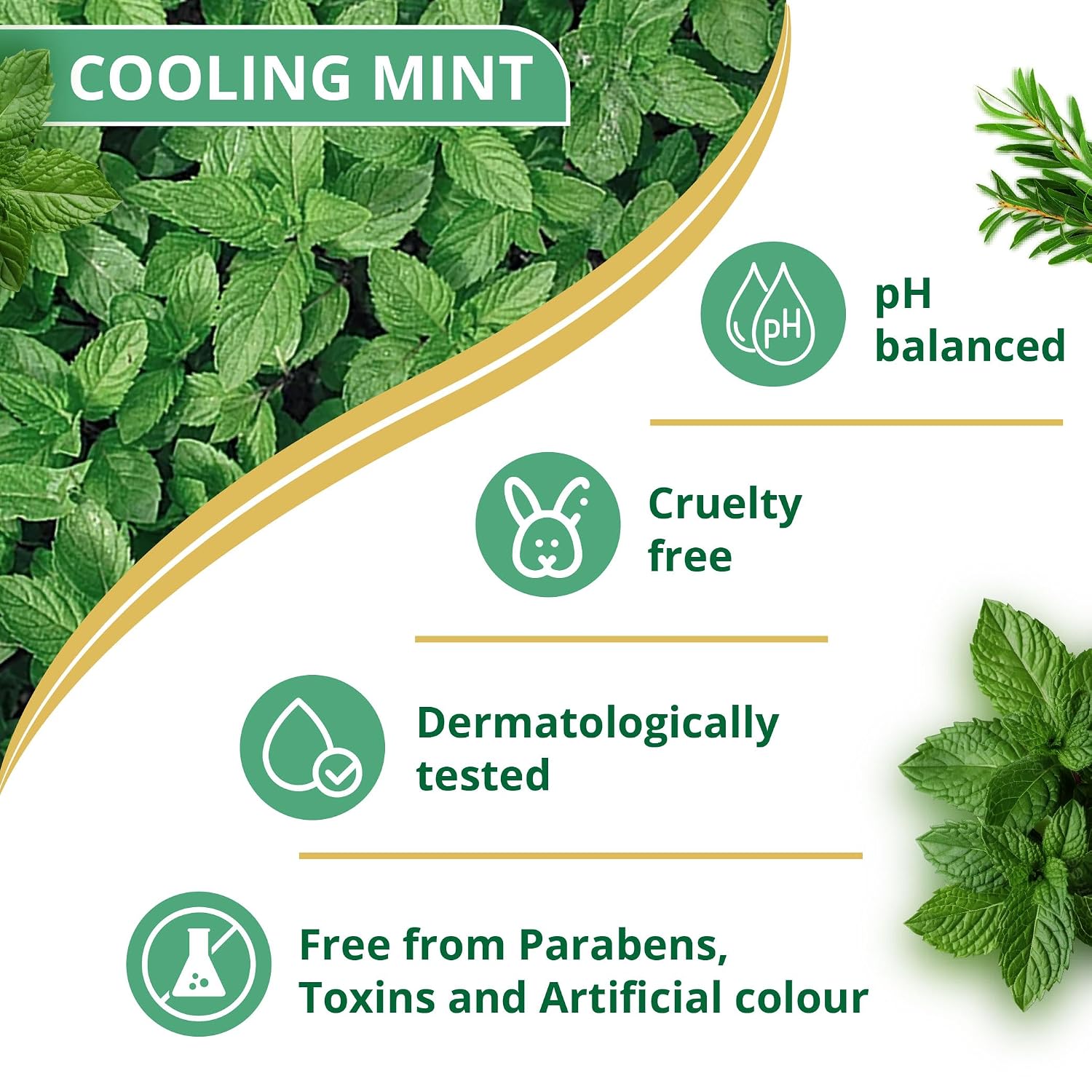 Himalaya Anti-Dandruff Cooling Mint Shampoo | Fights Dandruff | Soothes Scalp & Revives Hair | Enriched with Tea Tree Oil & Mint | For Women & Men | 200ml