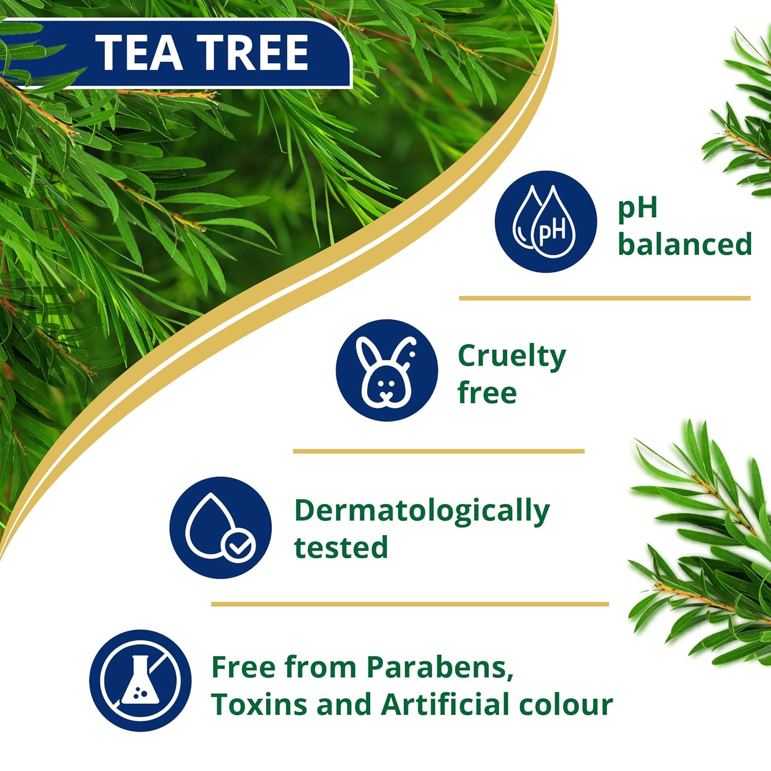 Himalaya Anti-Dandruff Tea Tree Shampoo 340 ml | with Tea Tree oil, Aloe Vera & Natural Proteins | Up to 100% Free From Dandruff | Dermatologically Tested | Non-Drying | For Women & Men