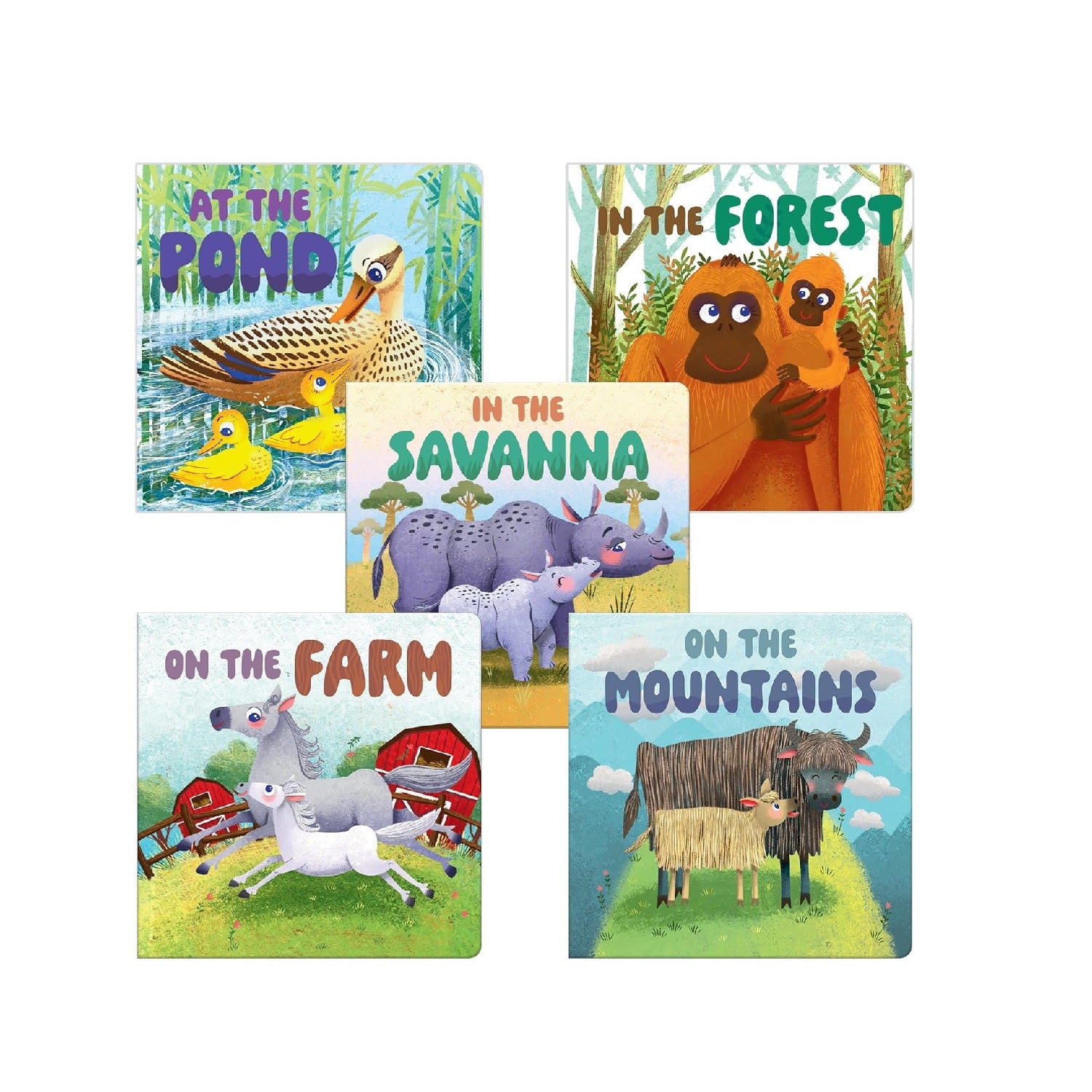My First Baby Animal – Boxed Set of 5 Board Books : Mini Box Set Board book – Picture Book