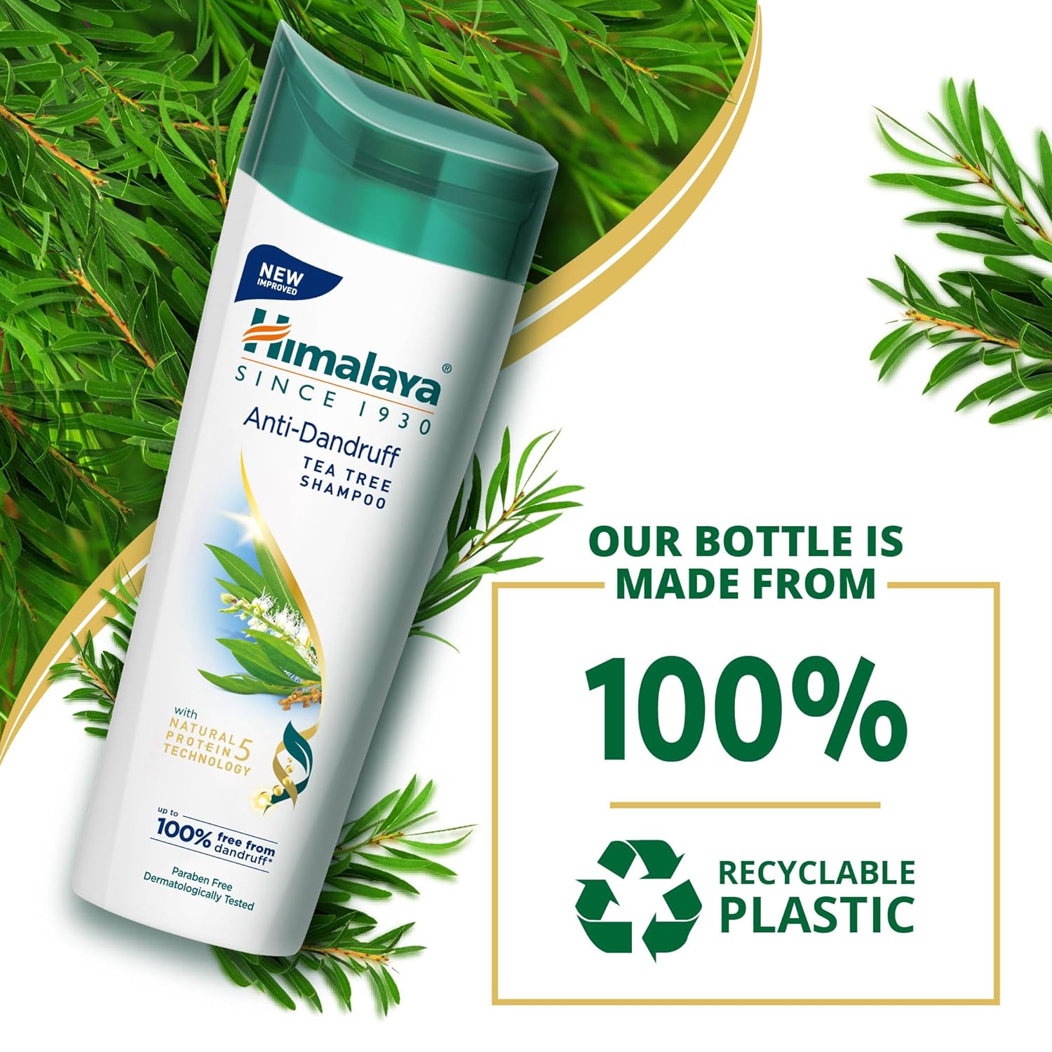 Himalaya Anti-Dandruff Tea Tree Shampoo 340 ml | with Tea Tree oil, Aloe Vera & Natural Proteins | Up to 100% Free From Dandruff | Dermatologically Tested | Non-Drying | For Women & Men