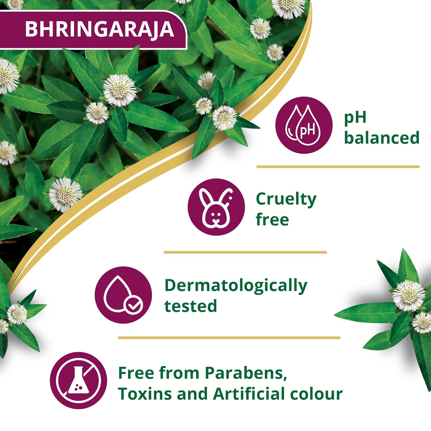 Himalaya SINCE 1930 Himalaya Anti-Hair Fall Bhringaraja Shampoo, Reduces Hair Fall, Makes Hair Healthy, With Bhringaraja & Palasha,For Men And Women, 340Ml