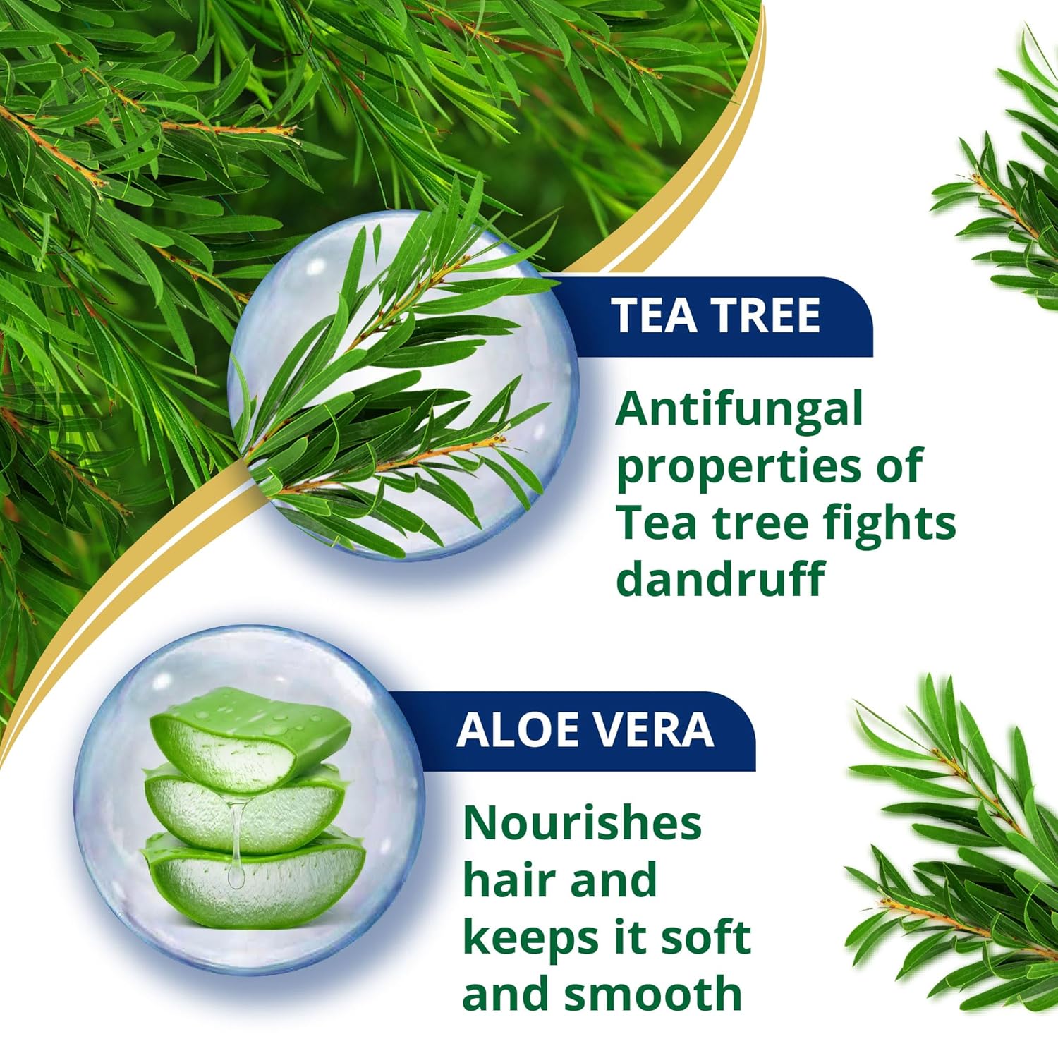 Himalaya Anti-Dandruff Tea Tree Shampoo 340 ml | with Tea Tree oil, Aloe Vera & Natural Proteins | Up to 100% Free From Dandruff | Dermatologically Tested | Non-Drying | For Women & Men