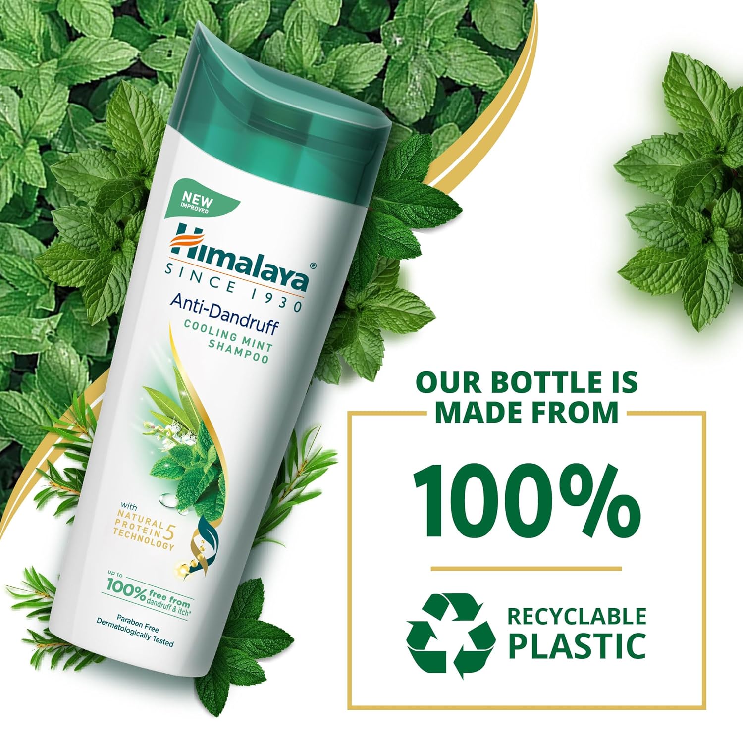Himalaya Anti-Dandruff Cooling Mint Shampoo | Fights Dandruff | Soothes Scalp & Revives Hair | Enriched with Tea Tree Oil & Mint | For Women & Men | 200ml