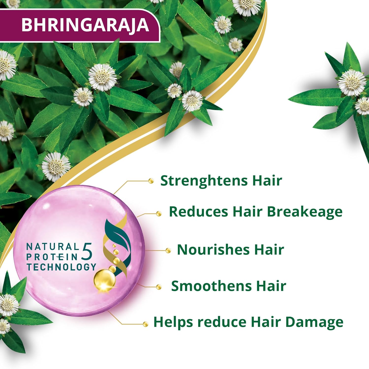 Himalaya SINCE 1930 Himalaya Anti-Hair Fall Bhringaraja Shampoo, Reduces Hair Fall, Makes Hair Healthy, With Bhringaraja & Palasha,For Men And Women, 340Ml