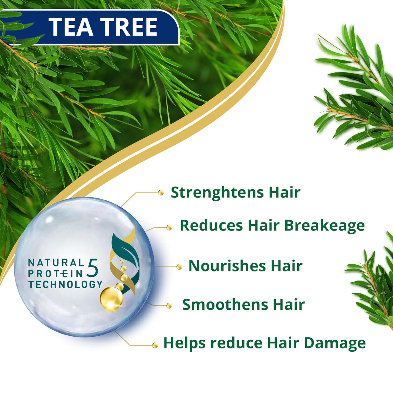 Himalaya Anti-Dandruff Tea Tree Shampoo 340 ml | with Tea Tree oil, Aloe Vera & Natural Proteins | Up to 100% Free From Dandruff | Dermatologically Tested | Non-Drying | For Women & Men
