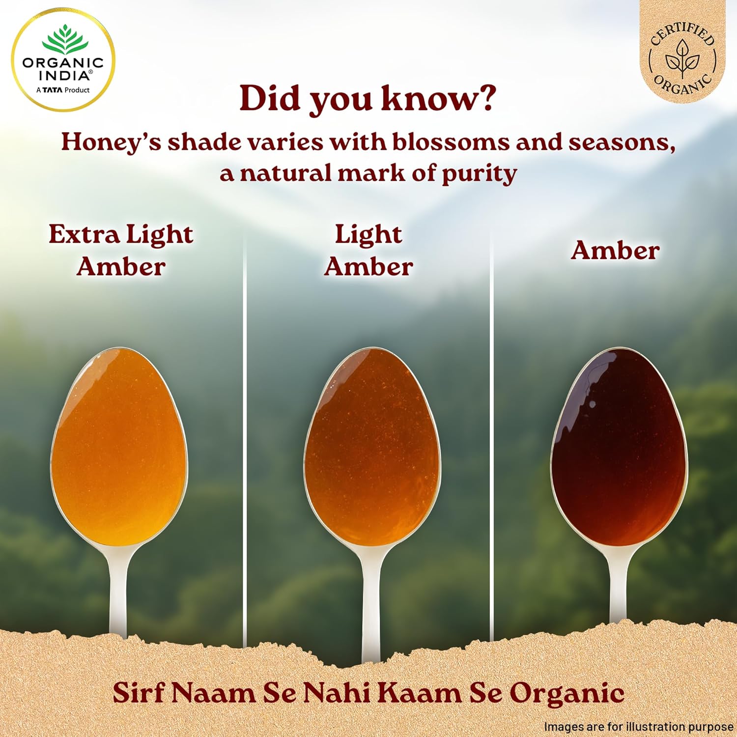 ORGANIC INDIA Himalayan Multi Floral Honey 250g