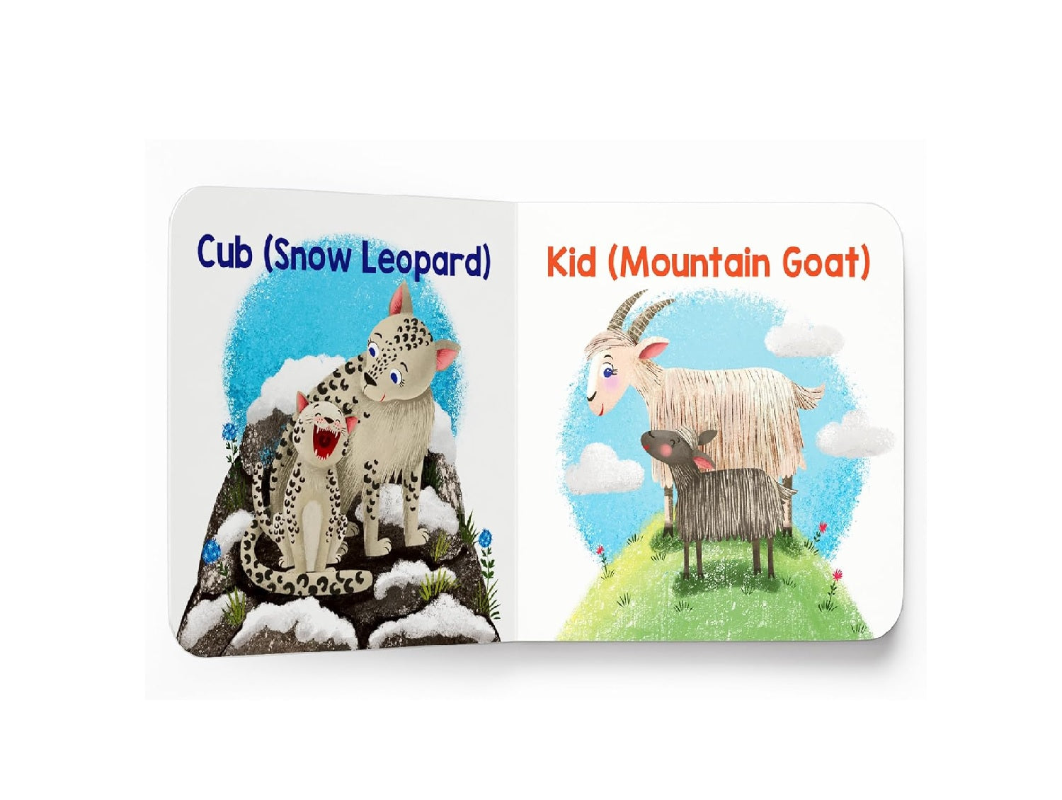 On the Mountains – My First Baby Animal Board Book