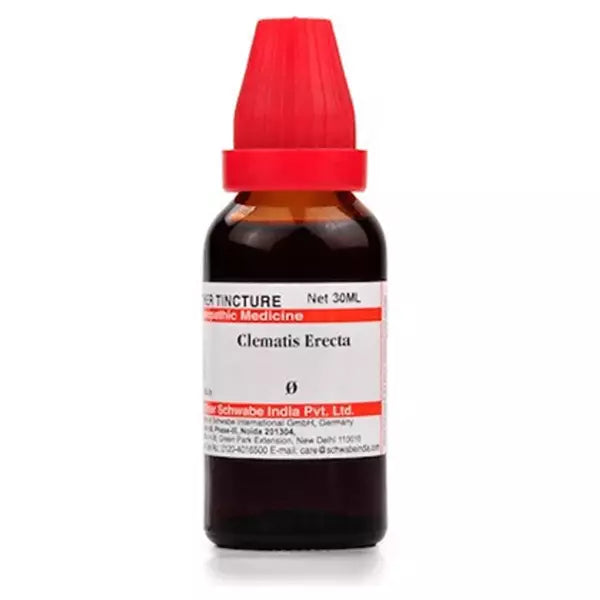 Dr Willmar Schwabe India Clematis Erecta Mother Tincture (Q) (30ml) for headache eczema swelling