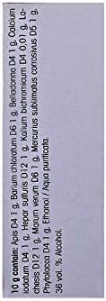 Dr Reckeweg R1 Drops Homeopathic Medicine for swellings Fever