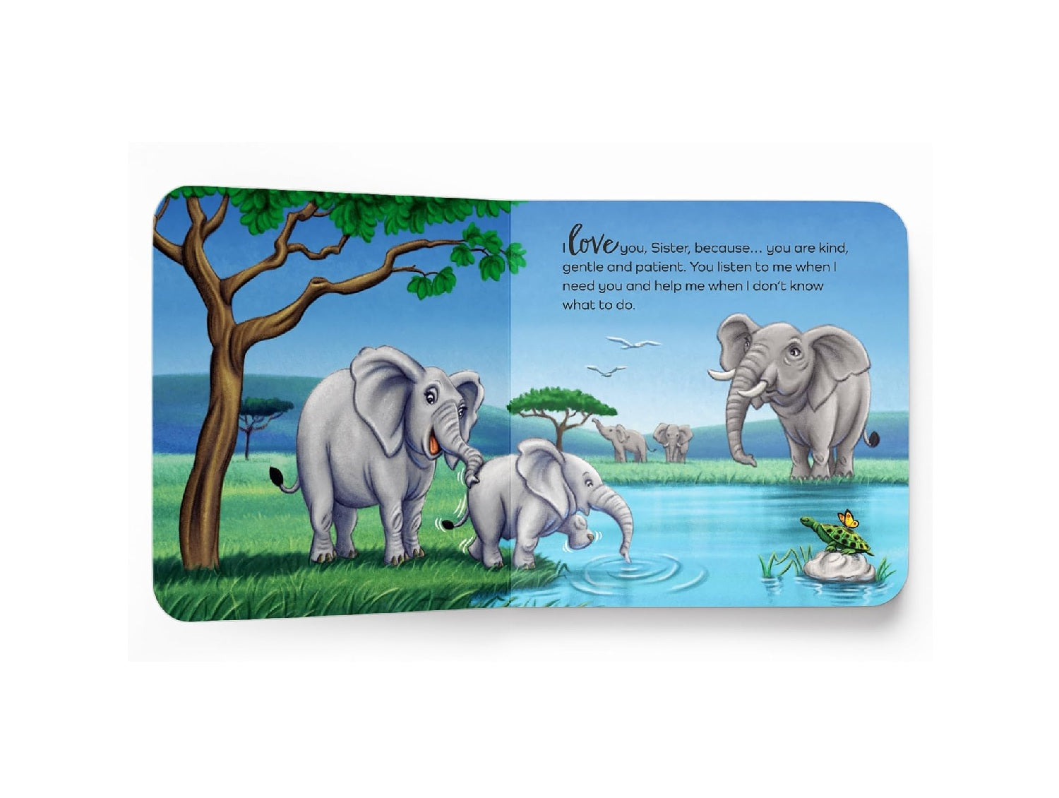 I Love My Family – A Heartwarming Illustrated Board Book for Kids | Board book – Picture Book