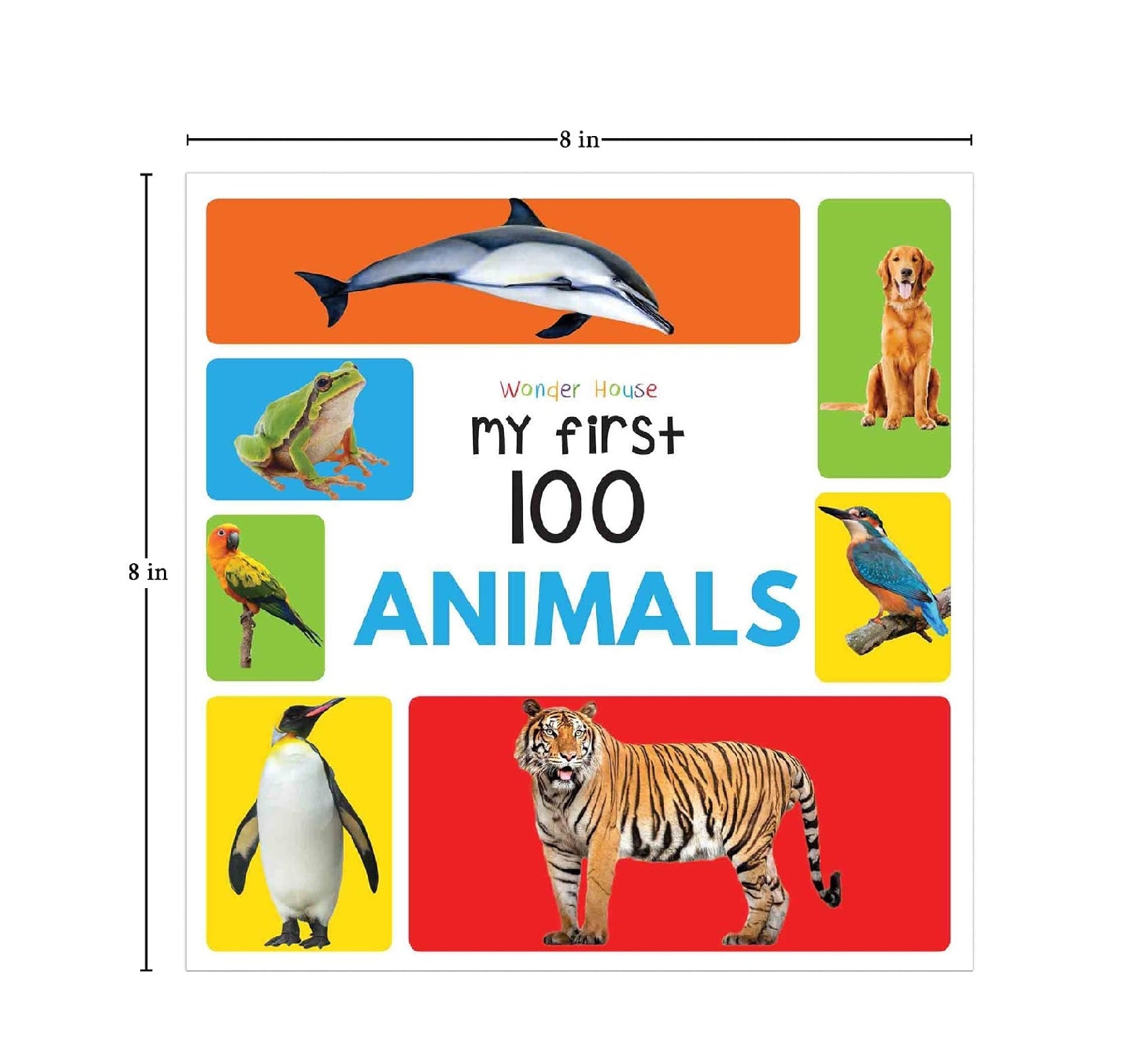 My First 100 Series Boxset Book
