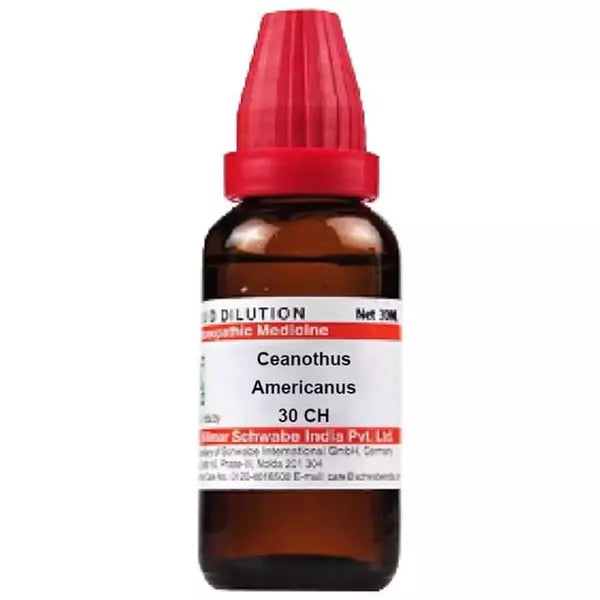Dr Willmar Schwabe India Ceanothus Americanus Dilution (30ml)