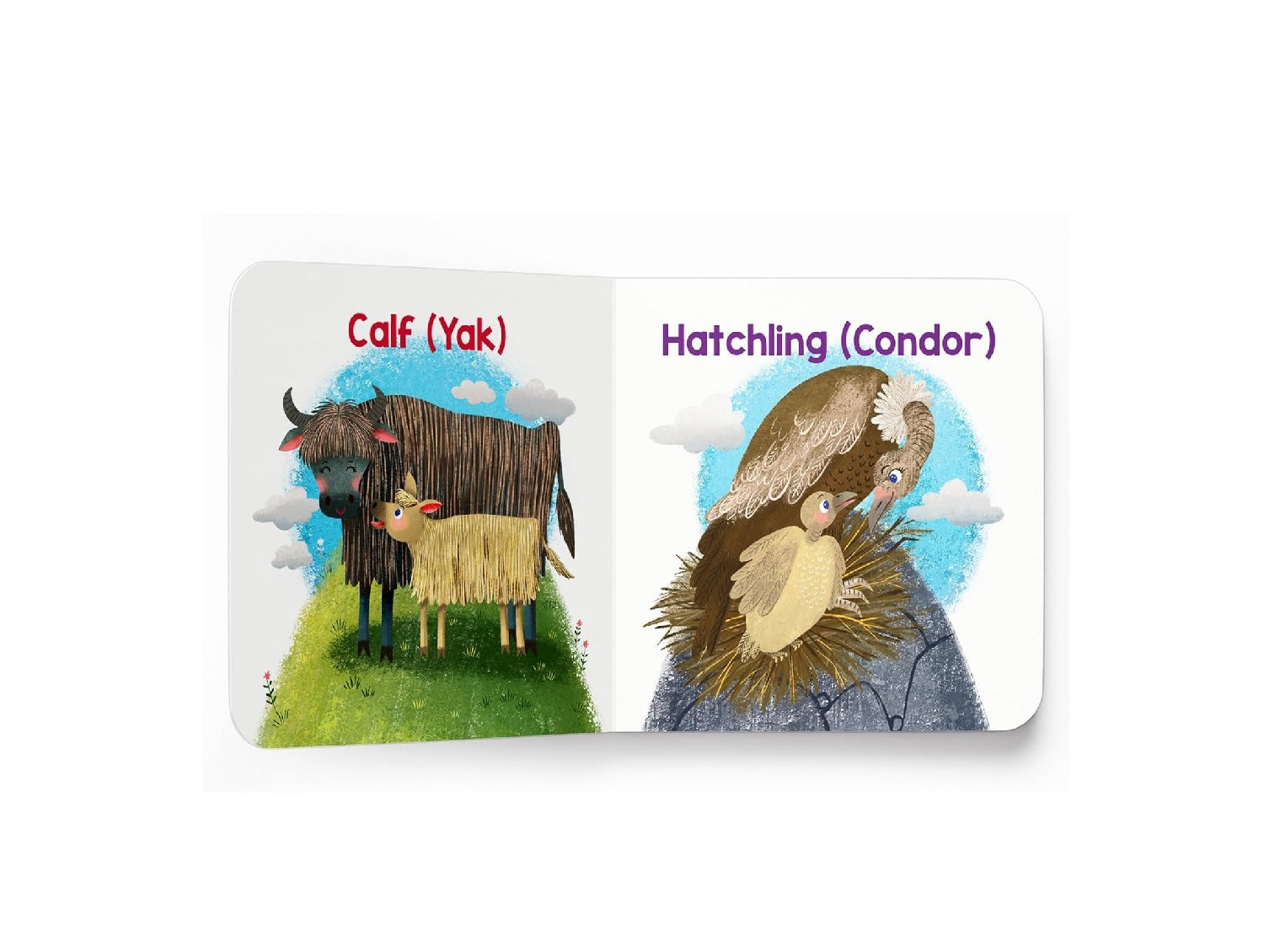 On the Mountains – My First Baby Animal Board Book