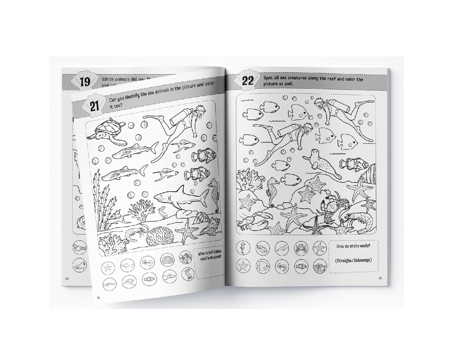 Lots to Spot In The Water: Search, Find and Color Activity Book Paperback
