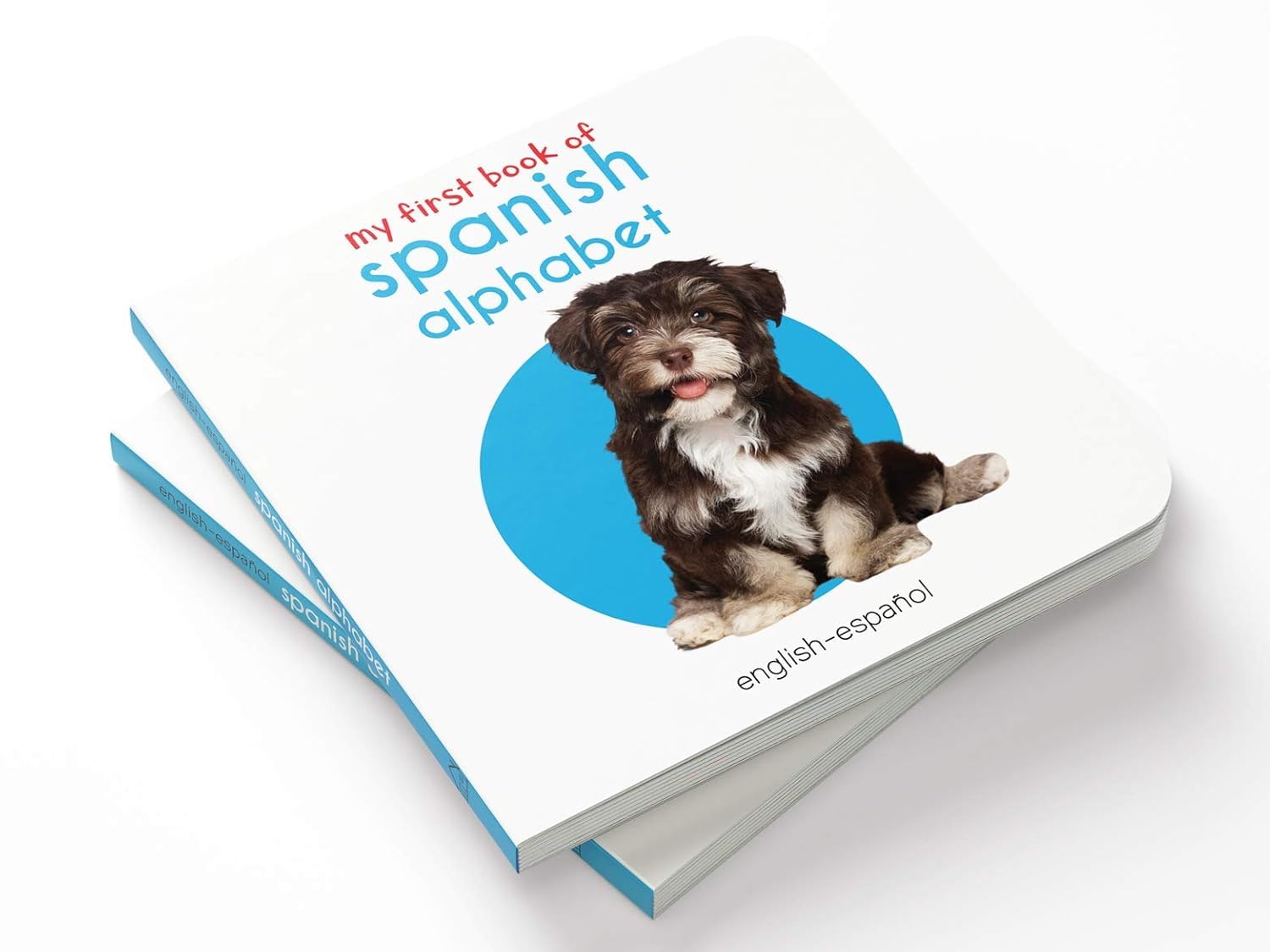 My First English - Español Learning Library (Mi Primea English - Español Learning Library) : Boxset of 10 English