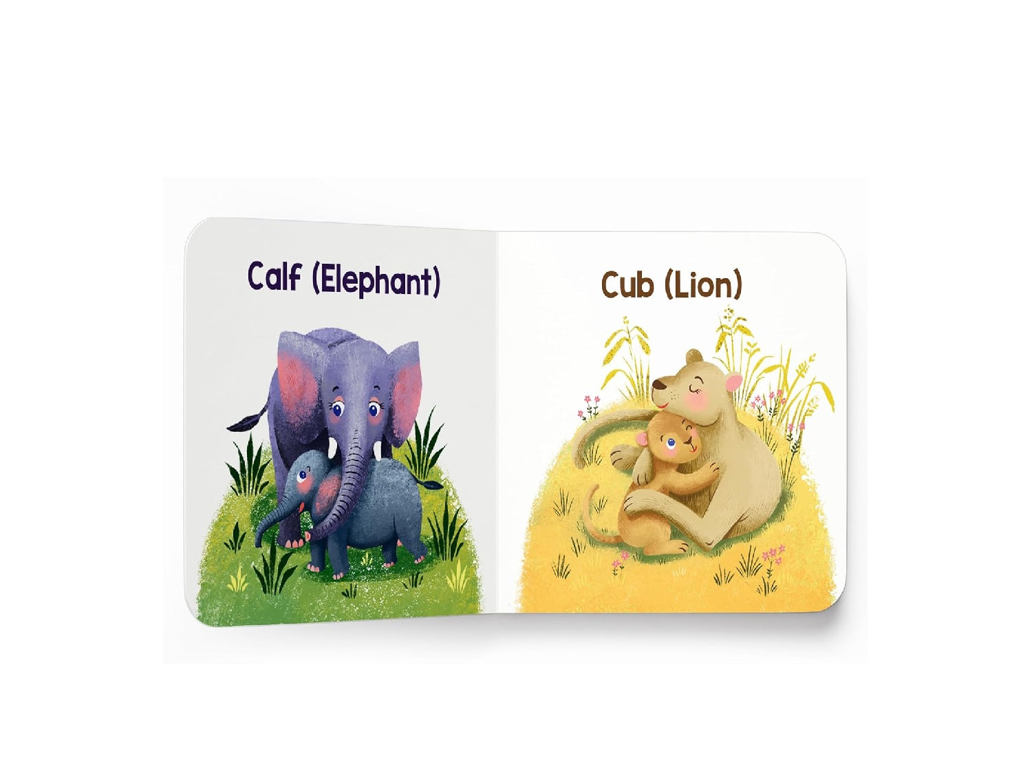 In the Savanna – My First Baby Animal Board Book
