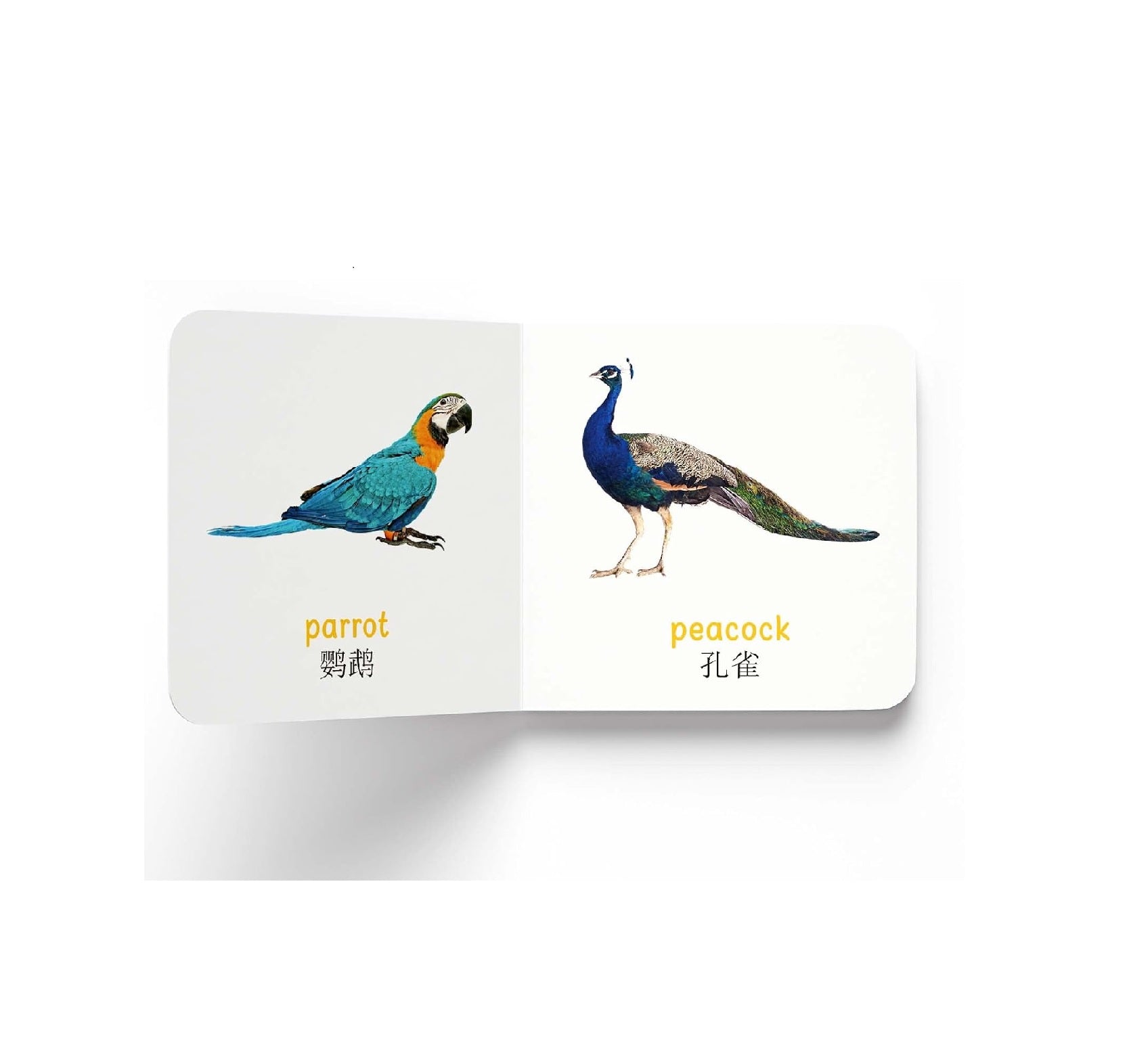 My First English-Chinese Learning Library : Bilingual Boxset of 10 Picture Board Books for Kids Board book