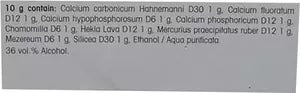 Dr. Reckeweg R34 Calcossin – Recalcifying Drops – 22ml for bone health