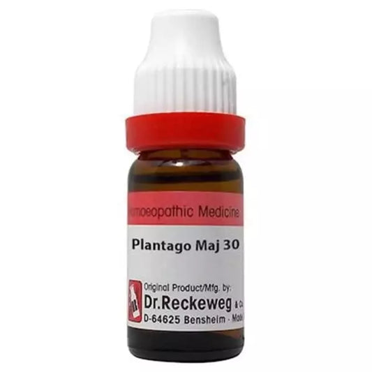 Dr Reckeweg Plantago Major DILUTION (Q) 30ml for scars diarrhoea cold and cough