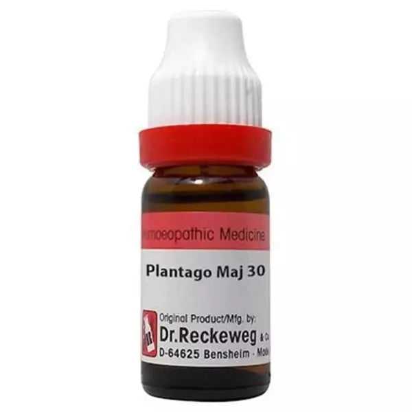 Dr Reckeweg Plantago Major DILUTION (Q) 30ml for scars diarrhoea cold and cough