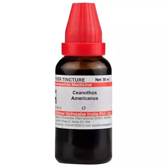 Dr Willmar Schwabe India Ceanothus Americanus Mother Tincture (Q) (30ml) for blood pressure fever