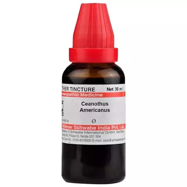 Dr Willmar Schwabe India Ceanothus Americanus Mother Tincture (Q) (30ml) for blood pressure fever