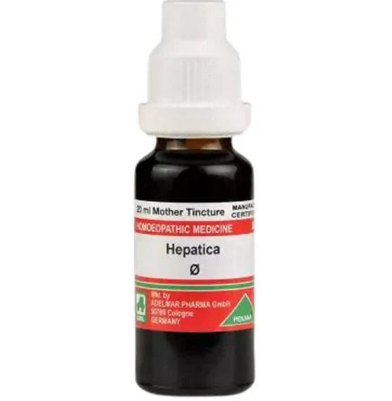 Adel Homeopathy Hepatica Mother Tincture Q - 20 ml