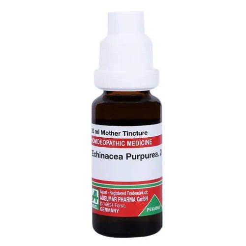 Adel Homeopathy Echinacea Purpurea Mother Tincture Q - 20 ml