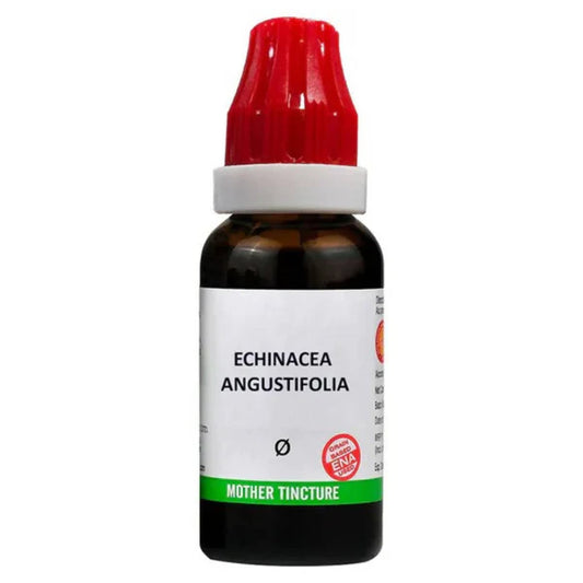 Bjain Homeopathy Echinacea Angustifolia Mother Tincture Q - 30 ml