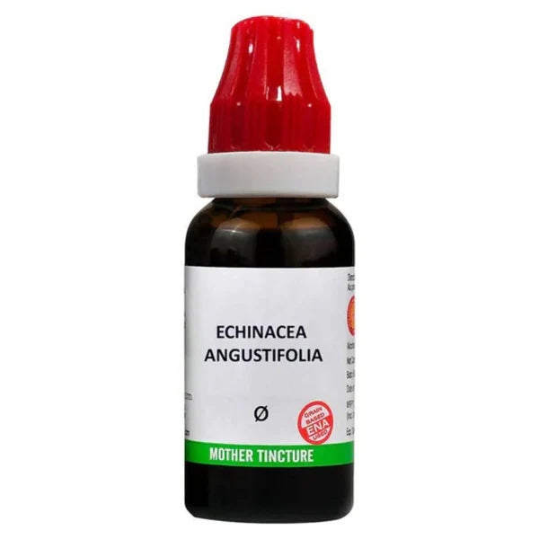 Bjain Homeopathy Echinacea Angustifolia Mother Tincture Q - 30 ml