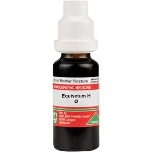 Adel Homeopathy Equisetum H Mother Tincture Q - 20 ml