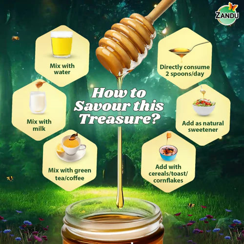Zandu Pure Honey Sundarban Forest - 500 ml - Pack of 1