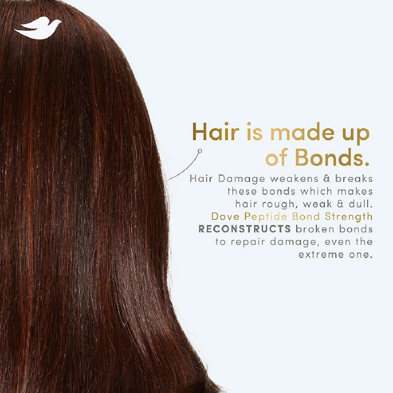 Dove Peptide Bond Strength Shampoo - 180 ml